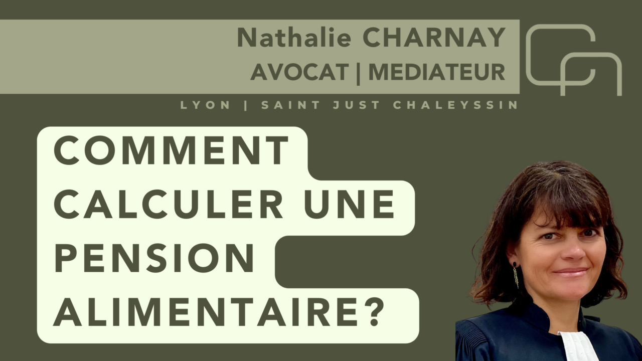 COMMENT CALCULER UNE PENSION ALIMENTAIRE? - Nathalie Charnay - Avocat Lyon