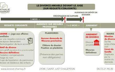LE DIVORCE AMIABLE JUDICIAIRE